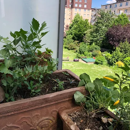 Homestay Rhein-flair